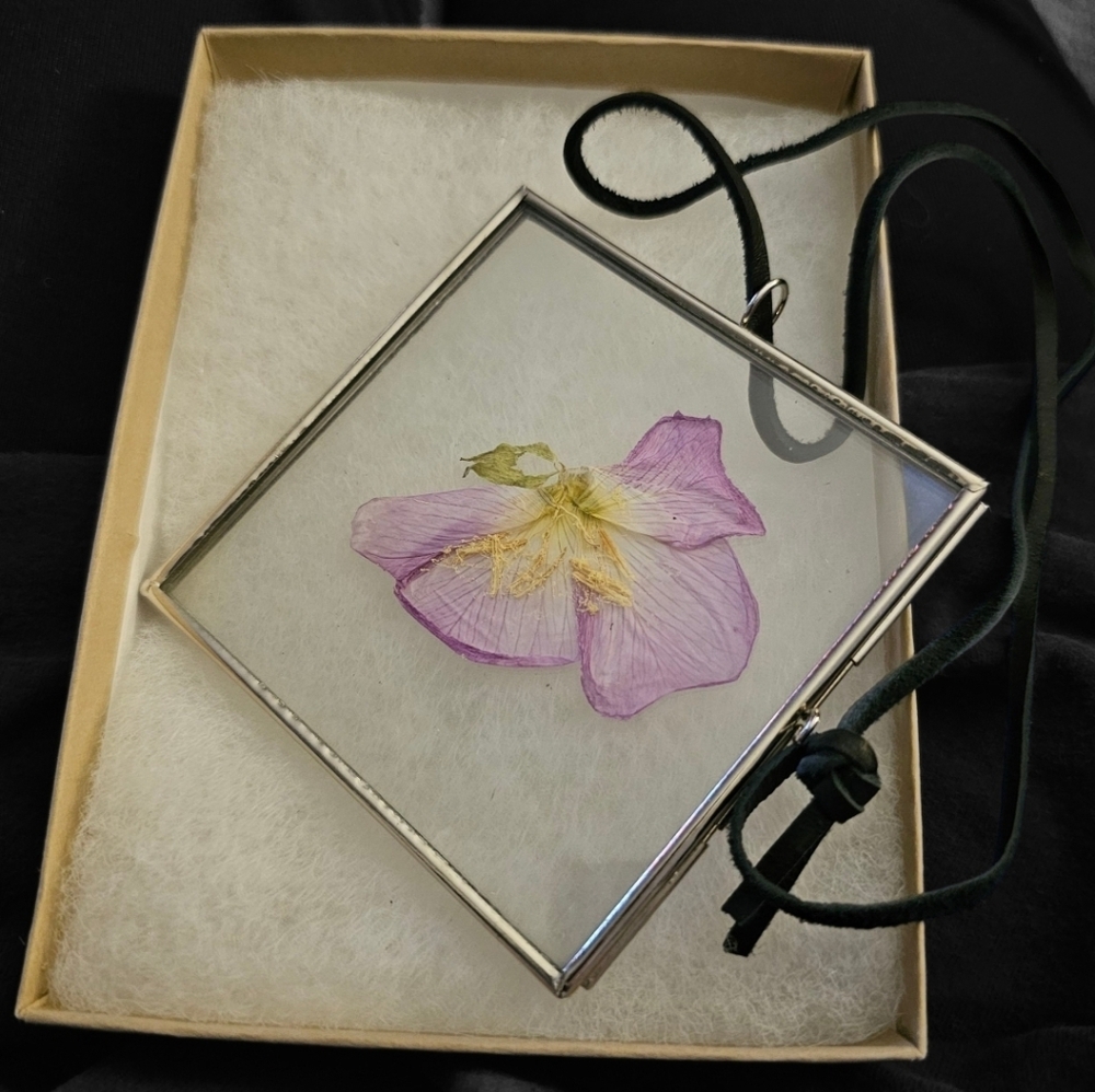 NEW Botanical Pressed Flower Framed Art